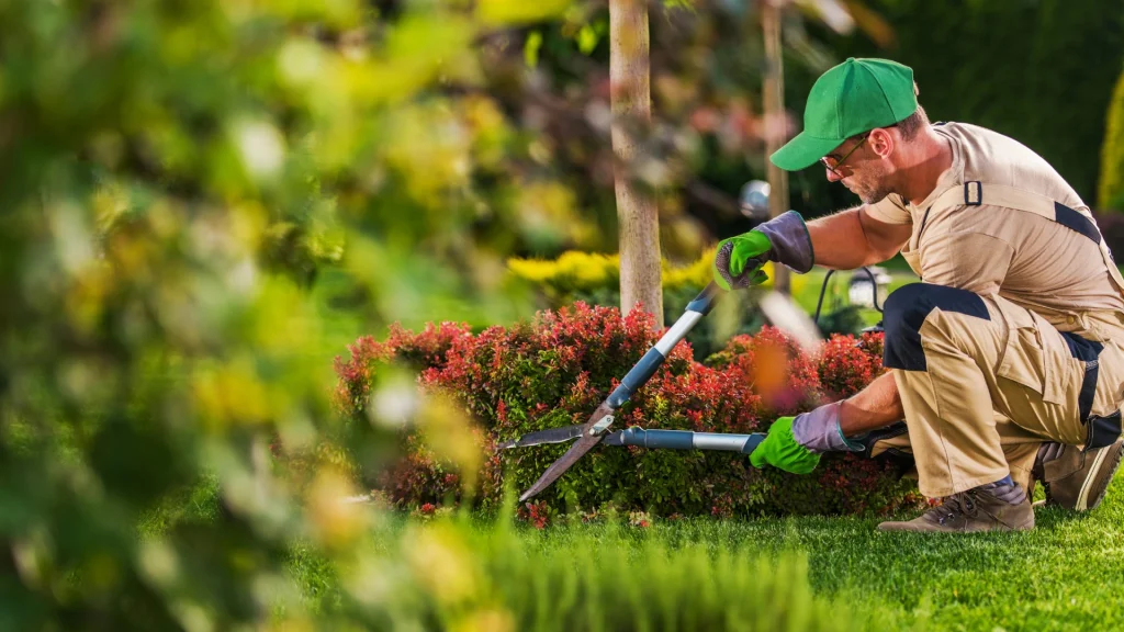 gardening services near me