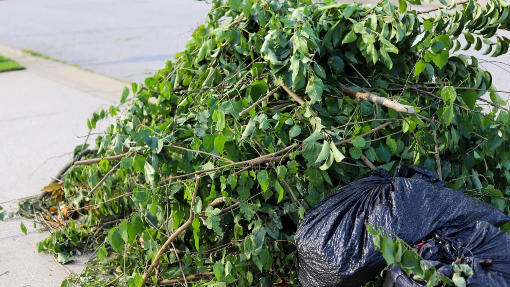 garden rubbish removal