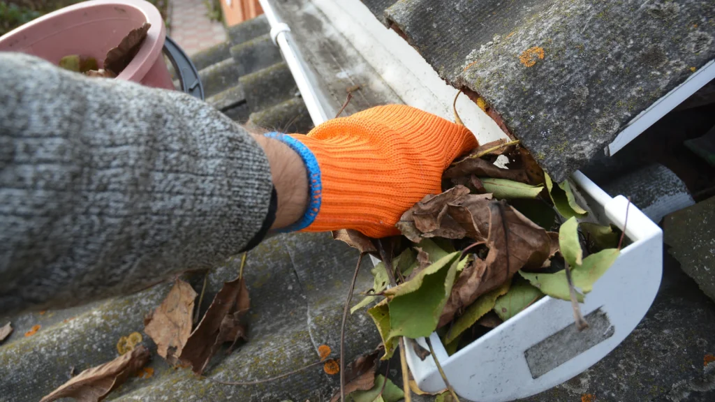 gutter cleaning service