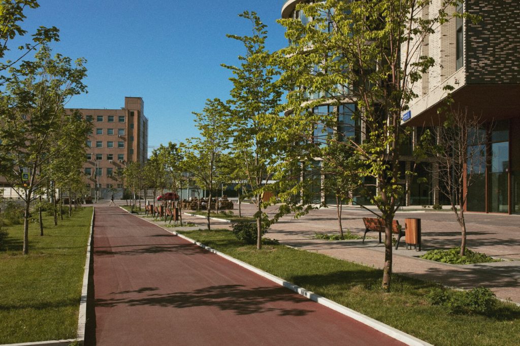 commercial garden maintenance