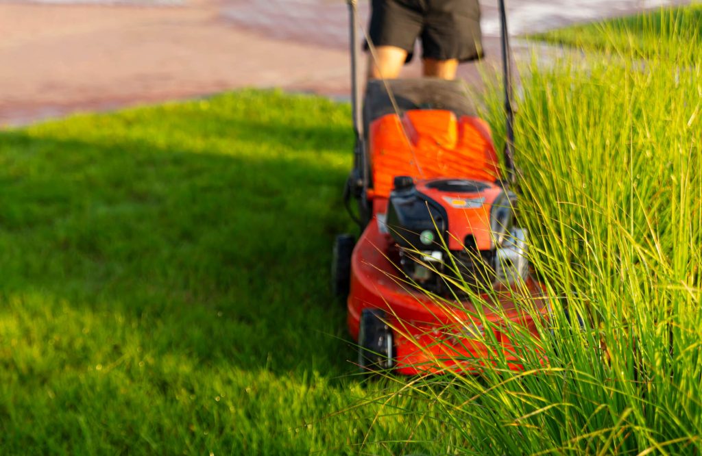 grass cutting service Doreen