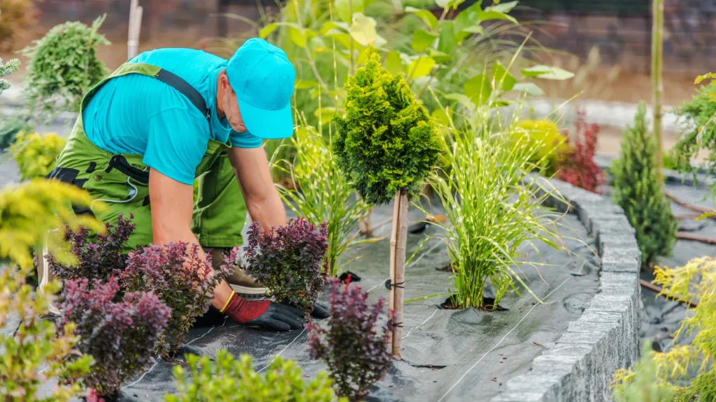 gardening services Doreen